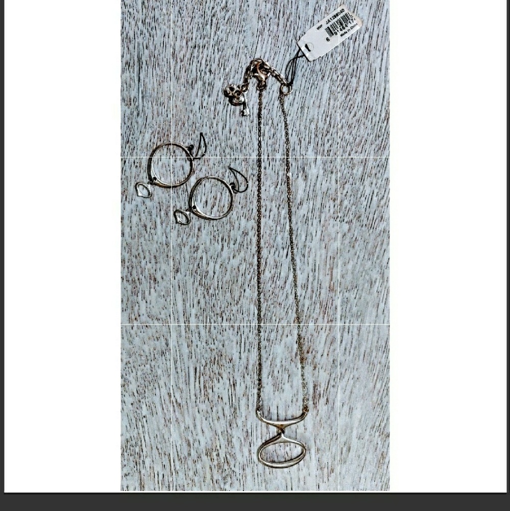 Fossil stainless steel necklace & earrings NWT